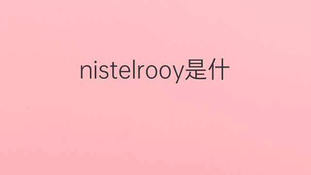 nistelrooy是什么意思 nistelrooy的中文翻译、读音、例句