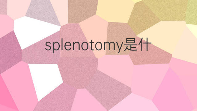 splenotomy是什么意思 splenotomy的中文翻译、读音、例句