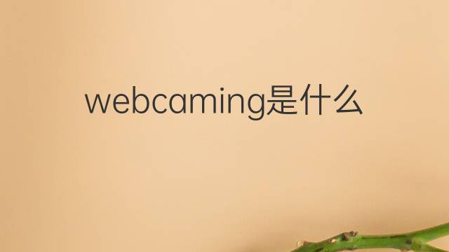 webcaming是什么意思 webcaming的中文翻译、读音、例句
