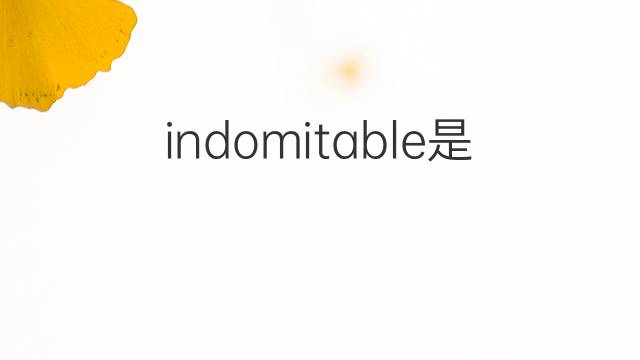 indomitable是什么意思 indomitable的中文翻译、读音、例句