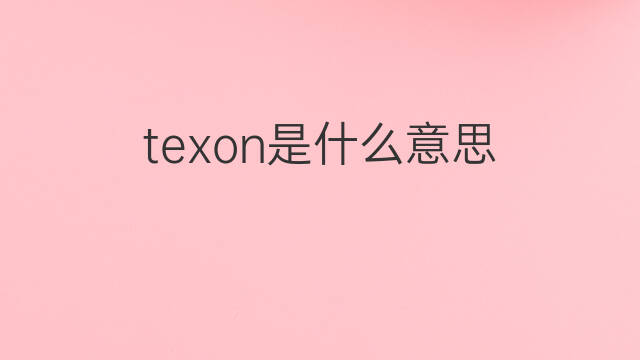 texon是什么意思 texon的中文翻译、读音、例句