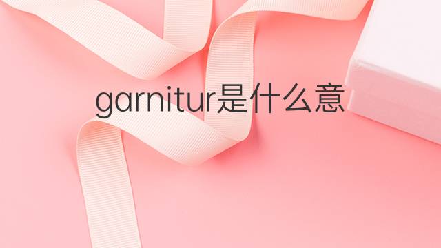 garnitur是什么意思 garnitur的中文翻译、读音、例句