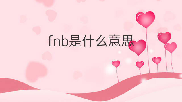fnb是什么意思 fnb的中文翻译、读音、例句