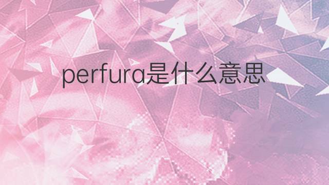 perfura是什么意思 perfura的中文翻译、读音、例句