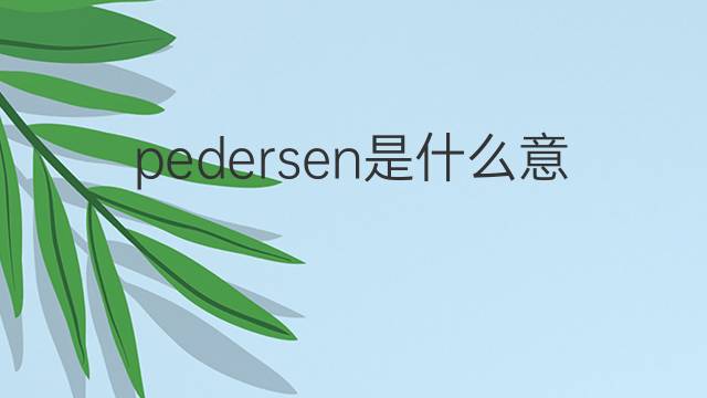 pedersen是什么意思 pedersen的中文翻译、读音、例句