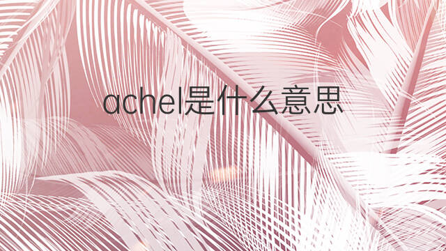achel是什么意思 achel的中文翻译、读音、例句