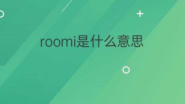 roomi是什么意思 roomi的中文翻译、读音、例句