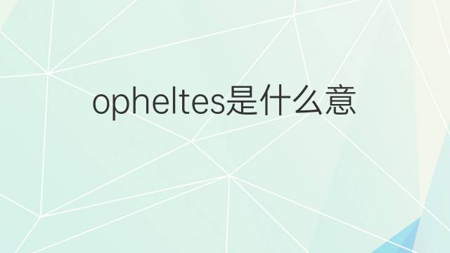 opheltes是什么意思 opheltes的中文翻译、读音、例句