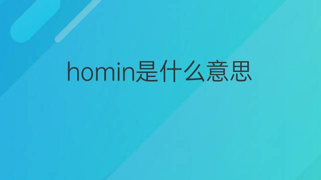 homin是什么意思 homin的中文翻译、读音、例句