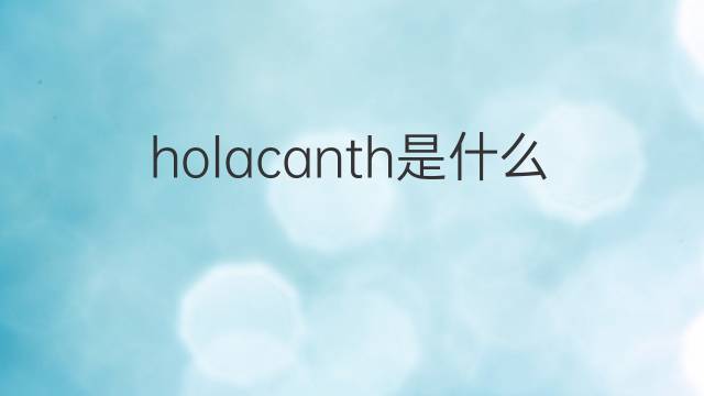holacanth是什么意思 holacanth的中文翻译、读音、例句