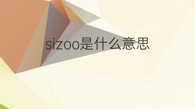 sizoo是什么意思 sizoo的中文翻译、读音、例句