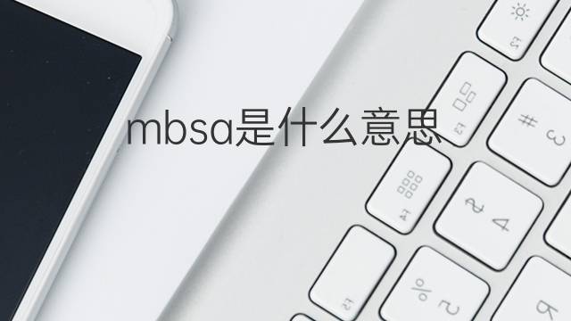 mbsa是什么意思 mbsa的中文翻译、读音、例句