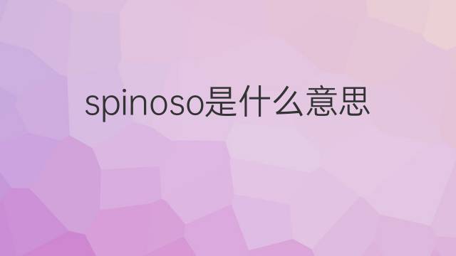 spinoso是什么意思 spinoso的中文翻译、读音、例句
