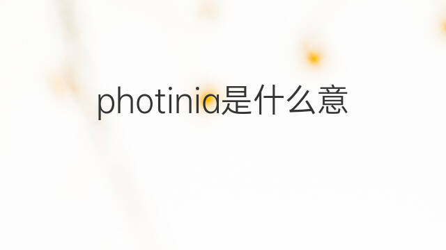 photinia是什么意思 photinia的中文翻译、读音、例句