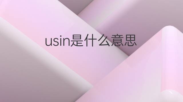 usin是什么意思 usin的中文翻译、读音、例句