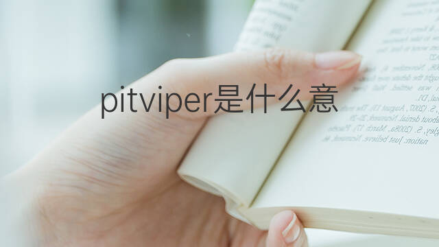 pitviper是什么意思 pitviper的中文翻译、读音、例句