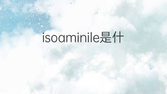 isoaminile是什么意思 isoaminile的中文翻译、读音、例句