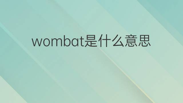 wombat是什么意思 wombat的中文翻译、读音、例句