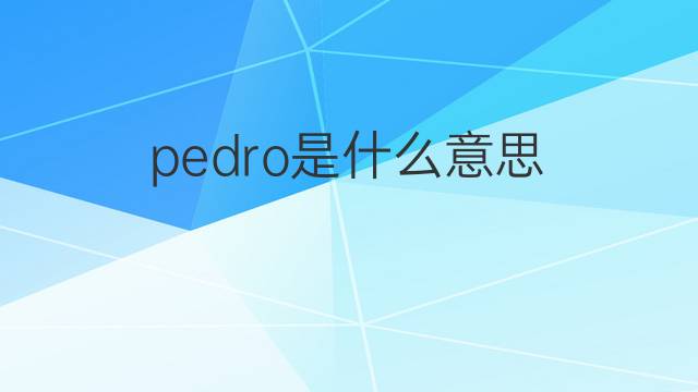 pedro是什么意思 pedro的中文翻译、读音、例句