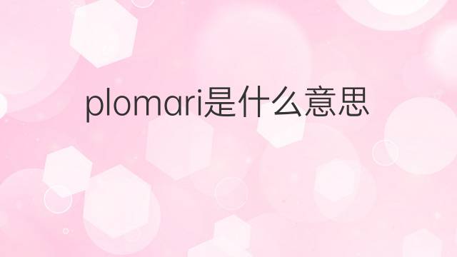 plomari是什么意思 plomari的中文翻译、读音、例句