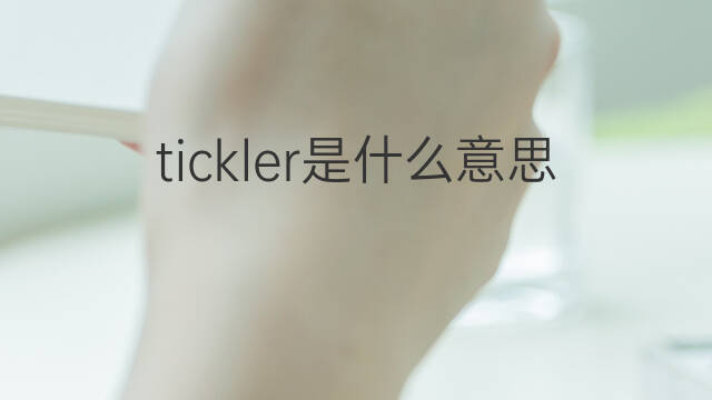tickler是什么意思 tickler的中文翻译、读音、例句