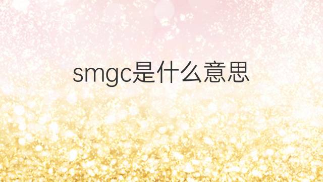smgc是什么意思 smgc的中文翻译、读音、例句
