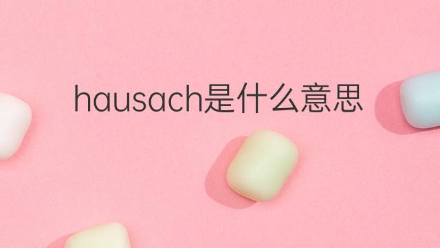 hausach是什么意思 hausach的中文翻译、读音、例句
