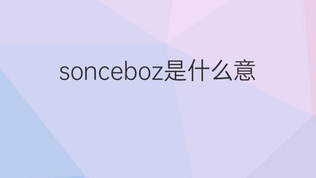 sonceboz是什么意思 sonceboz的中文翻译、读音、例句