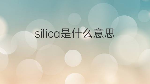 silica是什么意思 silica的中文翻译、读音、例句