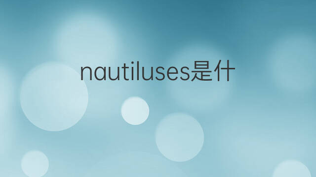 nautiluses是什么意思 nautiluses的中文翻译、读音、例句