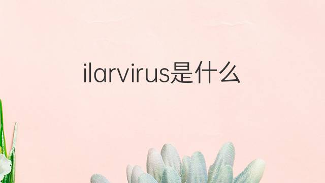 ilarvirus是什么意思 ilarvirus的中文翻译、读音、例句
