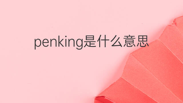 penking是什么意思 penking的中文翻译、读音、例句