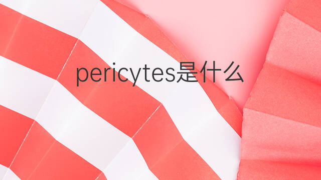 pericytes是什么意思 pericytes的中文翻译、读音、例句