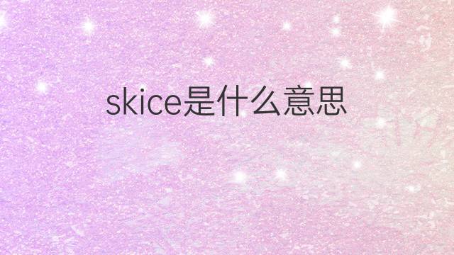 skice是什么意思 skice的中文翻译、读音、例句