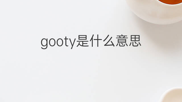 gooty是什么意思 gooty的中文翻译、读音、例句