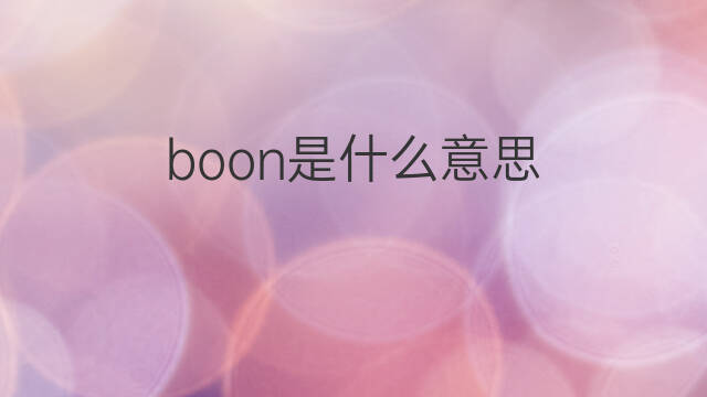 boon是什么意思 boon的中文翻译、读音、例句