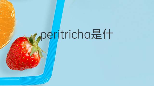 peritricha是什么意思 peritricha的中文翻译、读音、例句