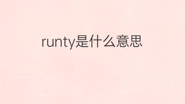 runty是什么意思 runty的中文翻译、读音、例句
