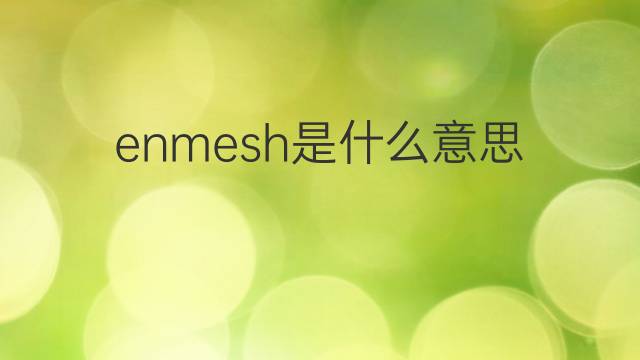 enmesh是什么意思 enmesh的中文翻译、读音、例句
