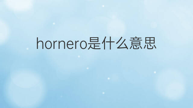 hornero是什么意思 hornero的中文翻译、读音、例句