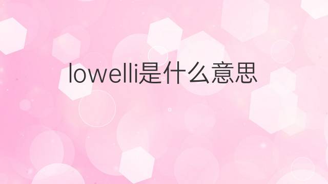 lowelli是什么意思 lowelli的中文翻译、读音、例句