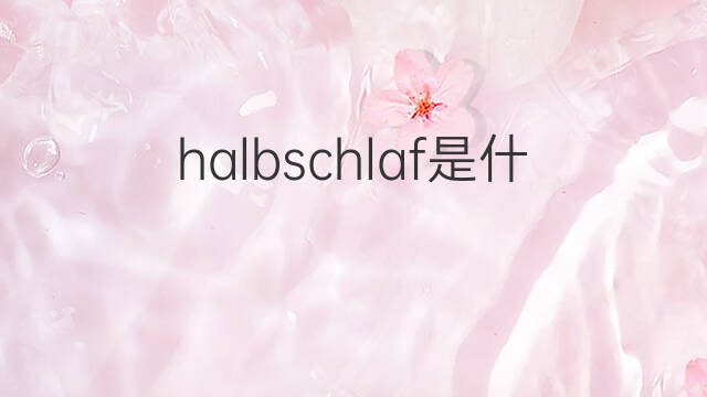 halbschlaf是什么意思 halbschlaf的中文翻译、读音、例句