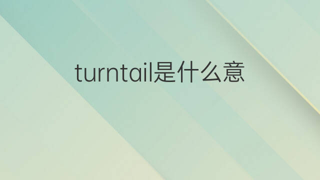 turntail是什么意思 turntail的中文翻译、读音、例句