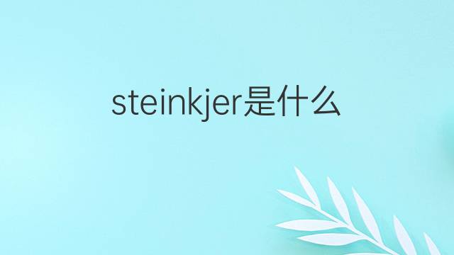steinkjer是什么意思 steinkjer的中文翻译、读音、例句