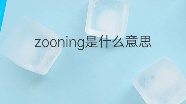 zooning是什么意思 zooning的中文翻译、读音、例句