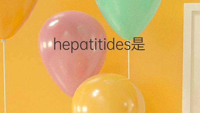 hepatitides是什么意思 hepatitides的中文翻译、读音、例句