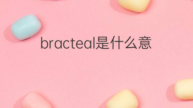 bracteal是什么意思 bracteal的中文翻译、读音、例句