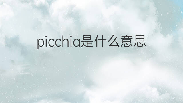 picchia是什么意思 picchia的中文翻译、读音、例句