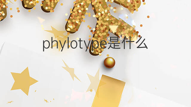 phylotype是什么意思 phylotype的中文翻译、读音、例句
