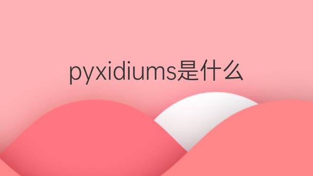 pyxidiums是什么意思 pyxidiums的中文翻译、读音、例句